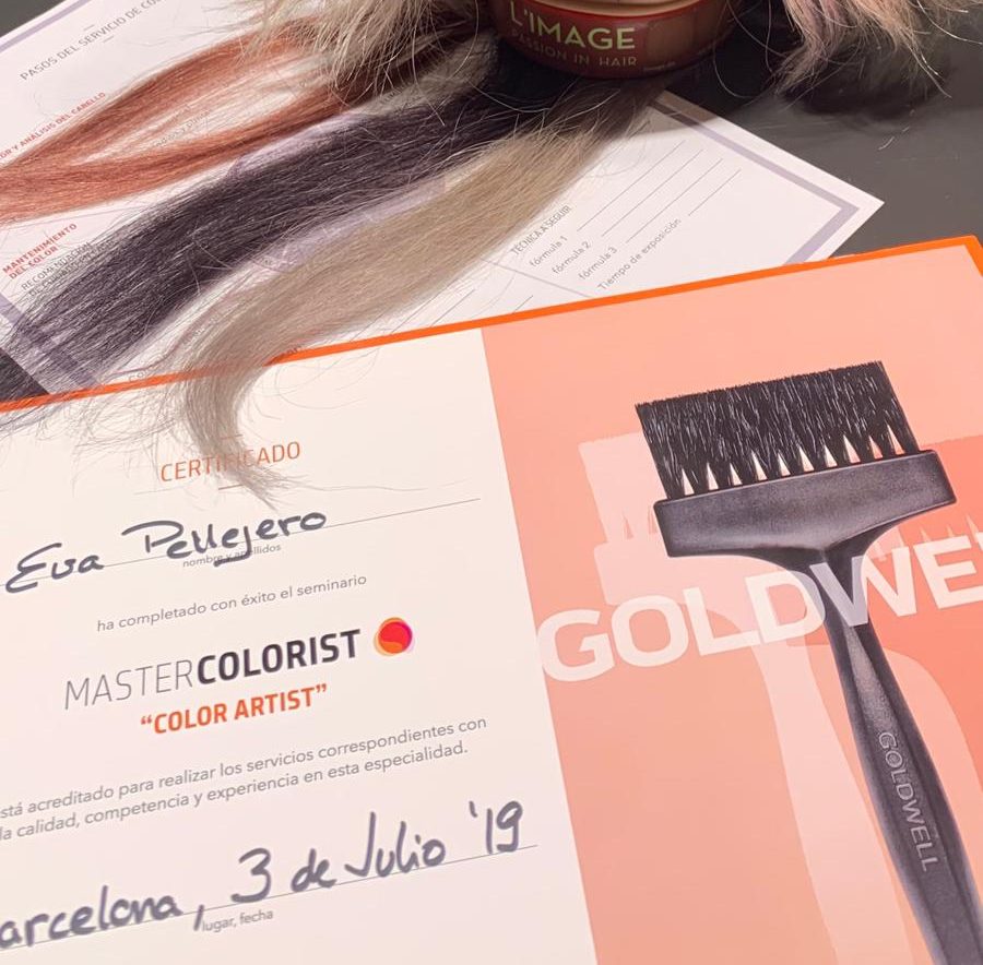 master colorist goldwell color artist eva pellejero 16